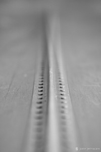 "Boat Rivets" - French Creek State Park