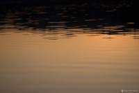 "Watery Sunset" - French Creek State Park
