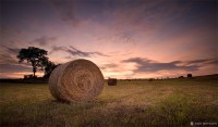 "Blue Marsh Lake Hay Bale" Blue Marsh Lake, PA