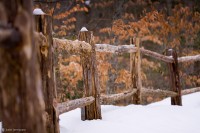 "Snowy Fence" - Devils Hopyard, CT