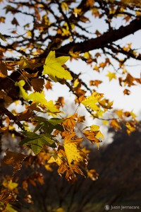 "Valley Forge Park" - Valley Forge, PA
