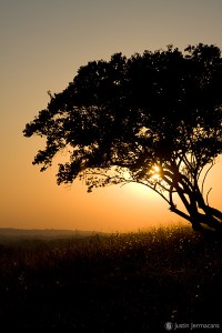 "Valley Forge Park" - Valley Forge, PA