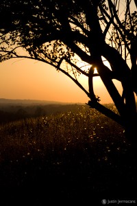 "Valley Forge Park" - Valley Forge, PA