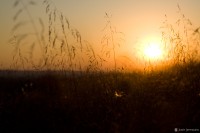 "Valley Forge Park" - Valley Forge, PA