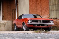 "Cuda" - 