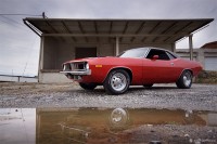 "Cuda" - 