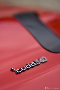 "Cuda" - 