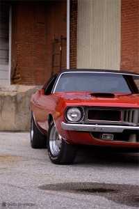 "Cuda" - 