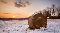 "Blue Marsh Lake Winter Hay Bale" - 