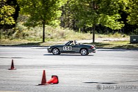 "IMG_1516" - 