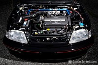 "IMG_3555" - 