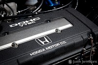 "IMG_3557" - 