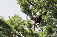"Buttermilk Falls" - 